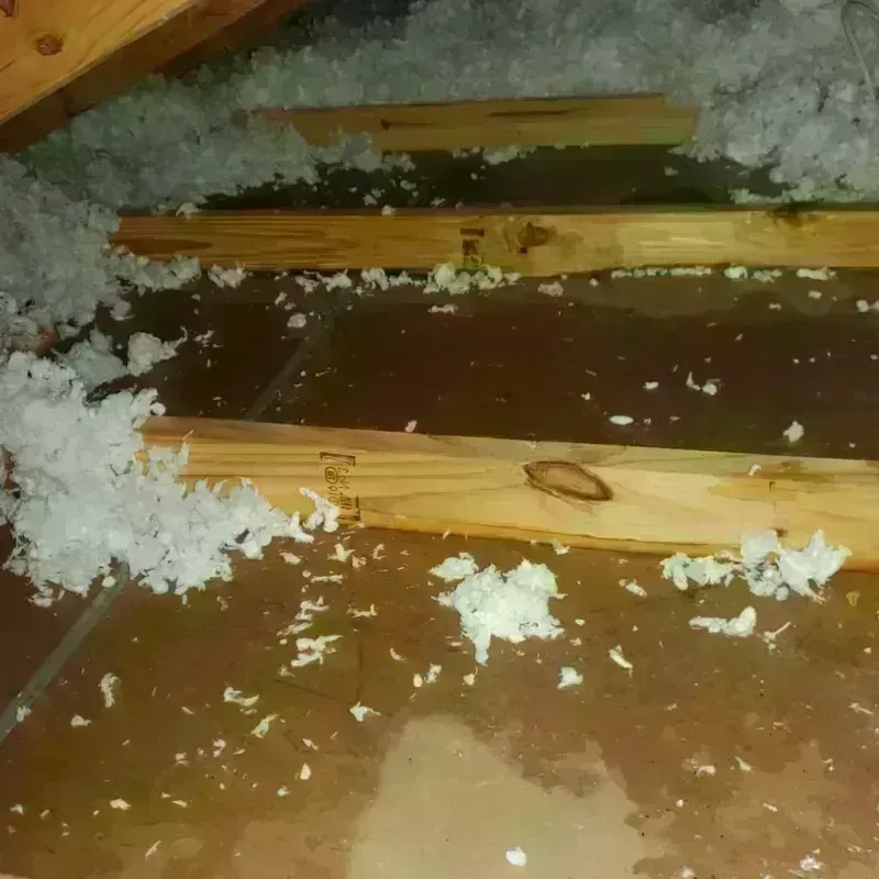 Attic Water Damage in Berne, IN